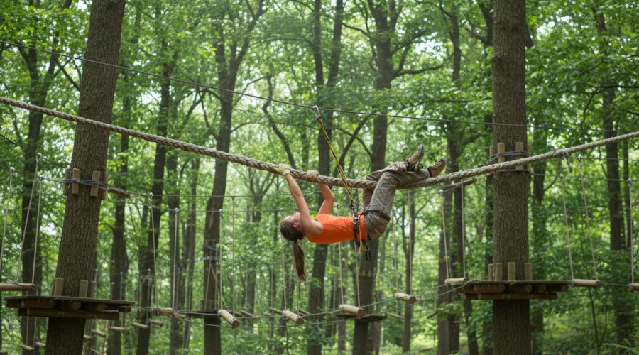 Monkey Forest à Guérande