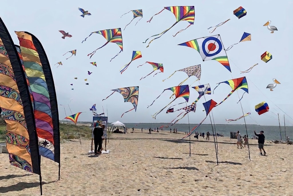cerfs-volants colorés au-dessus d’une plage de la côte atlantique